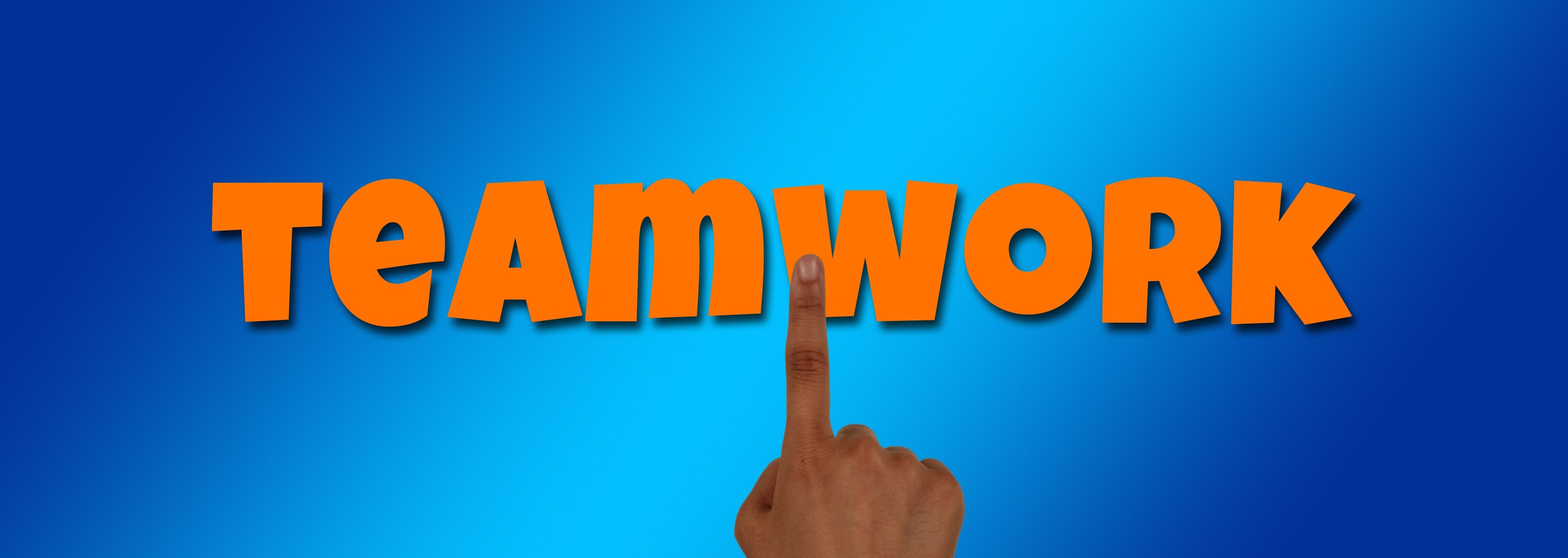 Alle Entgiftungsorgane bilden ein Teamwork
