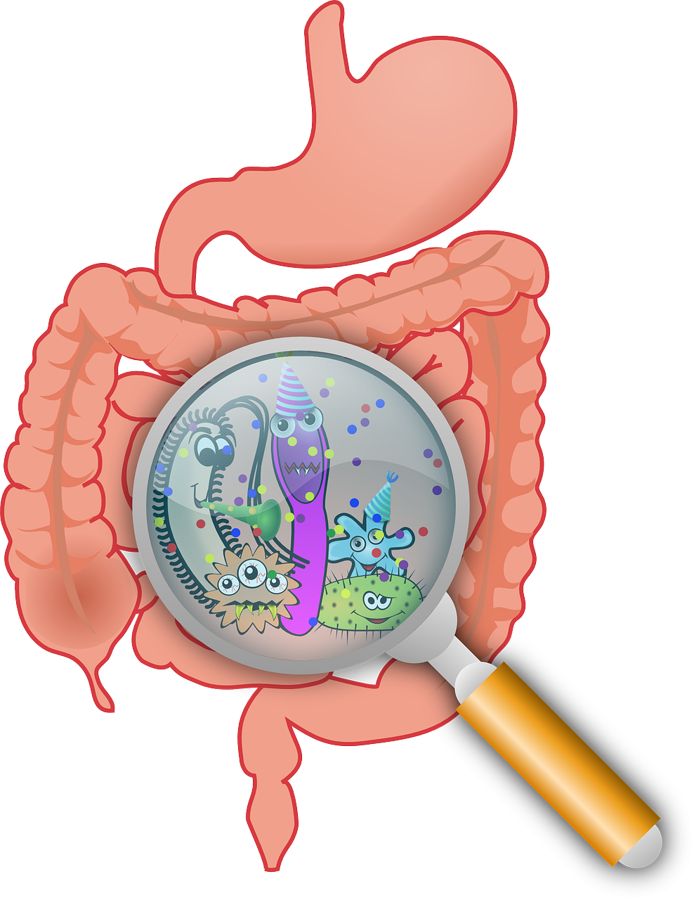 Darmmikrobiom