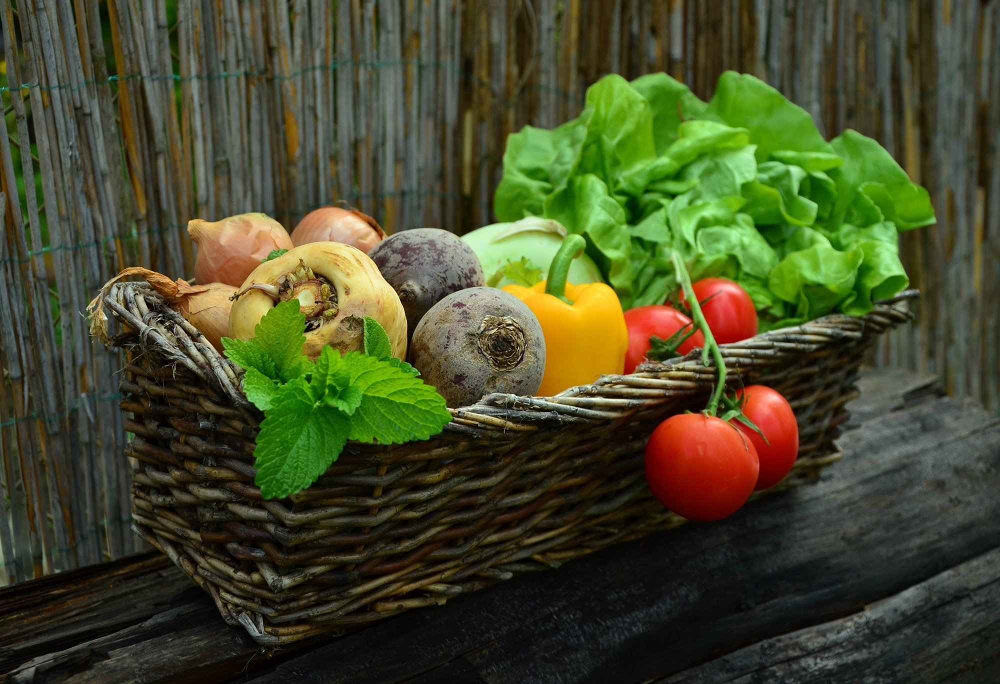 Frisches Gemüse und Obst